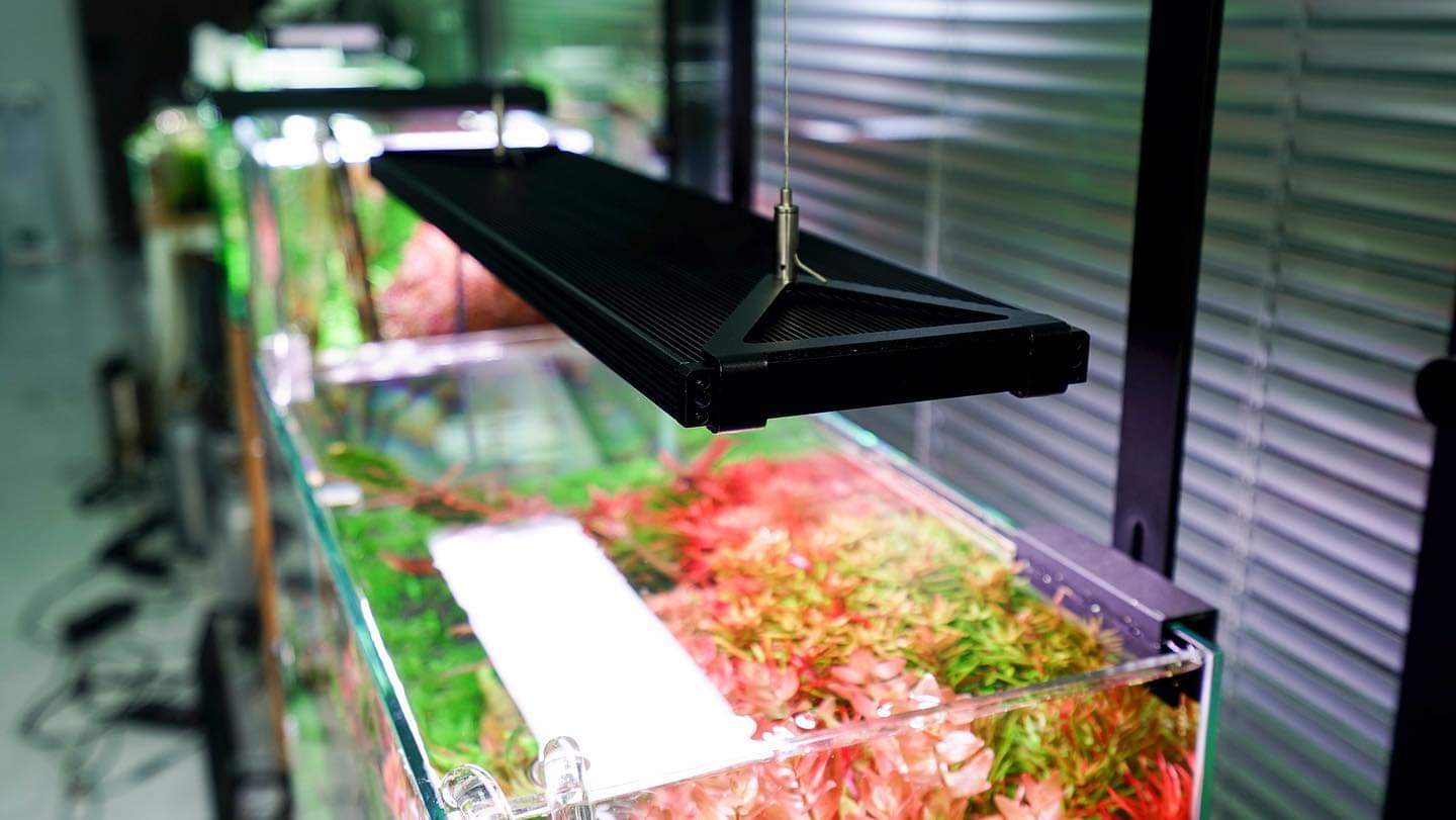 HOÀN TIỀN 10%ĐÈN CHIHIROS WRGB PRO 120CM