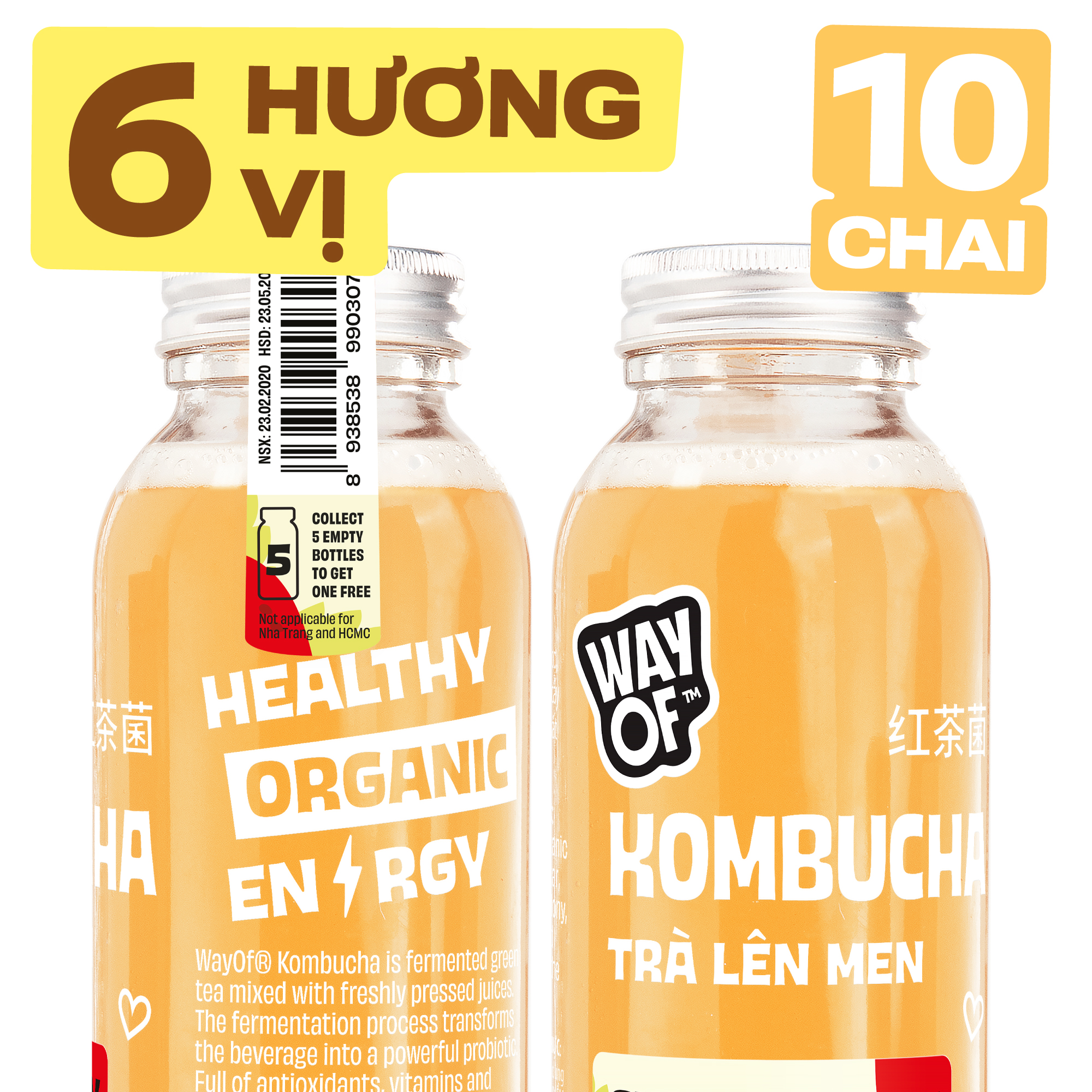 🔥 COMBO 9 +1 (Miễn Phí) Chai Trà Lên Men / WayOf® Kombucha / Hương Vị Hỗn Hợp