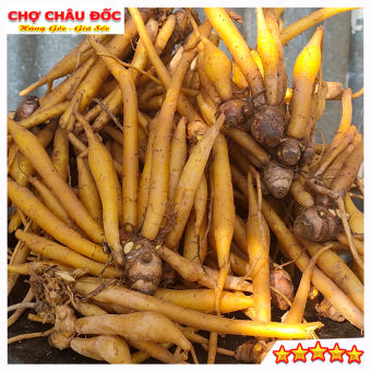 Củ Ngãi Bún Châu Đốc Dùng Nấu Bún Mắm, Lẩu Mắm, Bún Cá 500gr