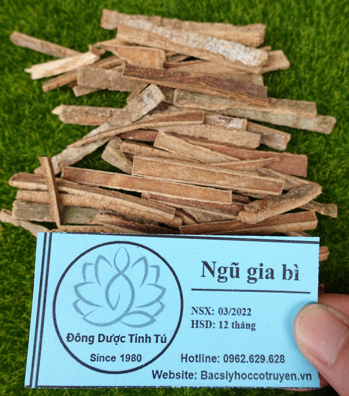 Ngũ gia bì 100g, dược liệu loại 1, khô, sạch