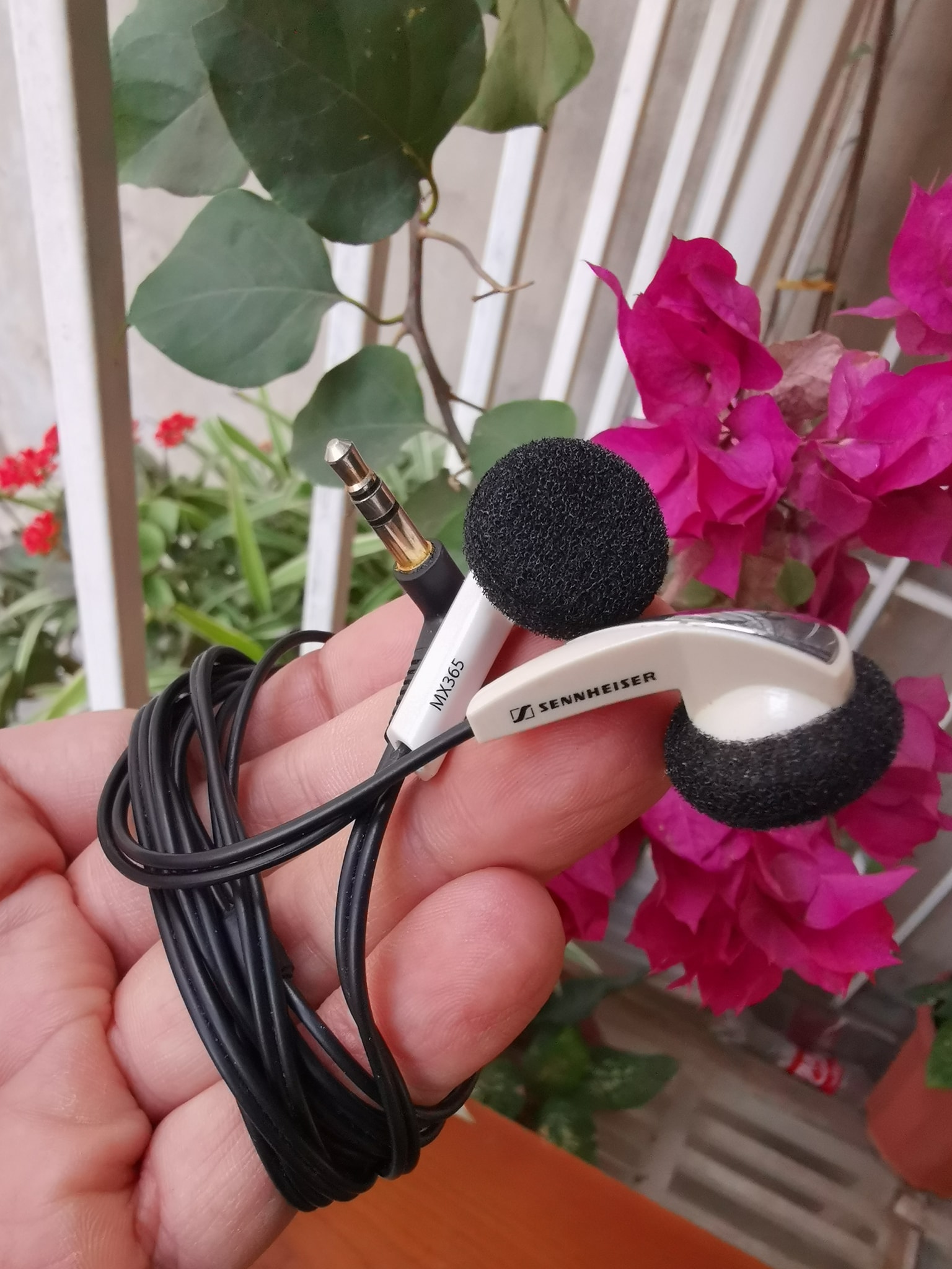 Sennheiser MX365, một tai nghe earbuds rất hay trong tầm giá