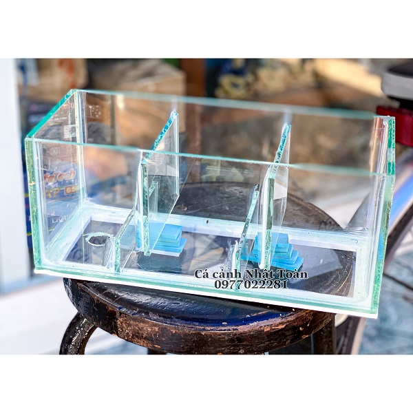 "hoàn tiền đến 10%" lọc tràn trên bể cá cảnh 3 ngăn 30x13x13cm