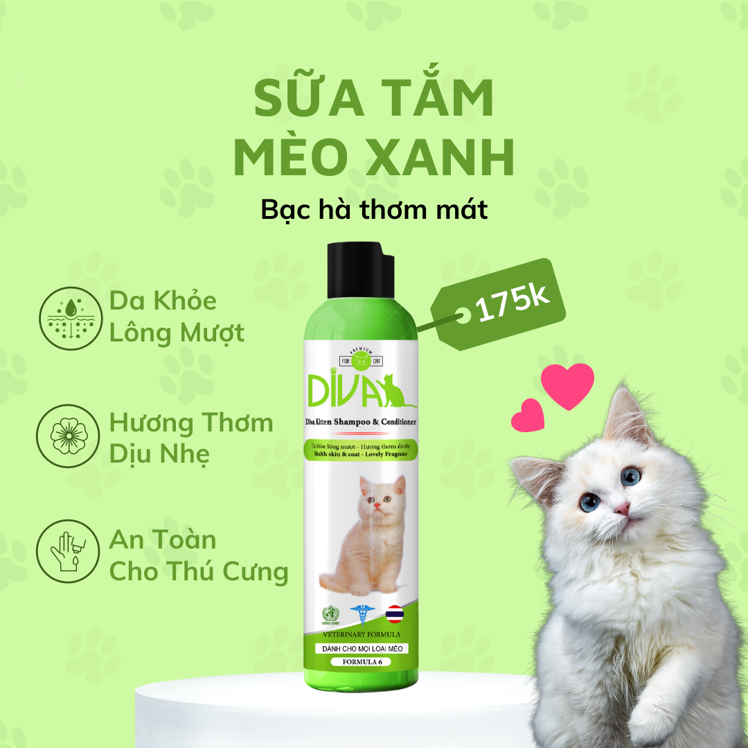 Sữa tắm cho mèo diva dưỡng lông bóng mượt, da khỏe mạnh