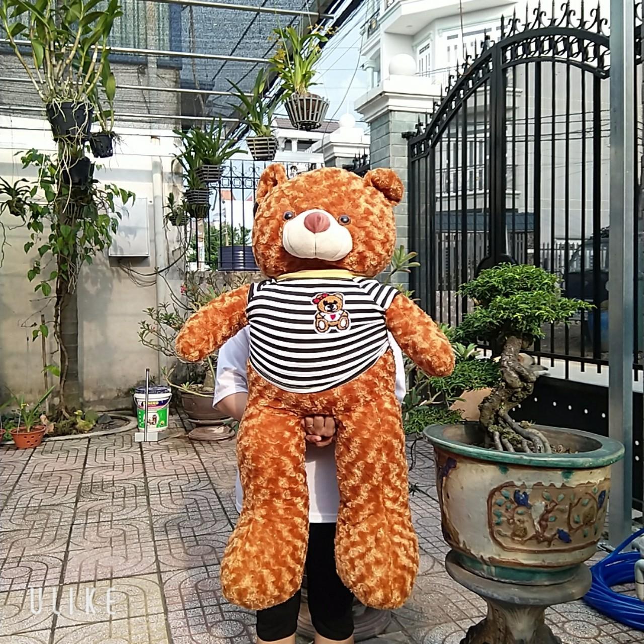 [HCM]GẤU TEDDY NHỒI BÔNG CAO1M3 KHỔ VẢI 2M SIÊU KHỦNG