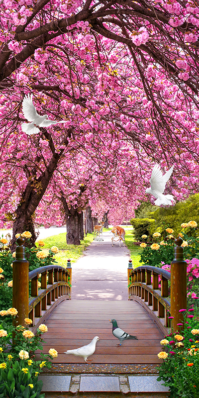 Tranh dán tường dán kiếng dọc lối vào vườn hoa anh đào tuyệt đẹp Sakura240920