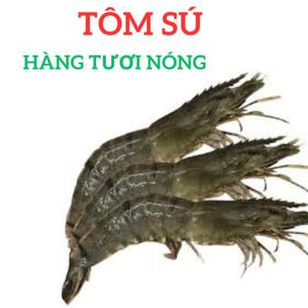 Tôm sú sống giao nhanh 2h giảm 30k cho đơn hàng từ 350k. Khoảng 30-35 con/kg