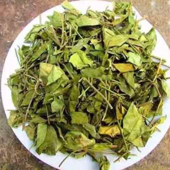 DÂY THÌA CANH -1kg