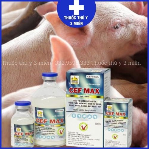 Cefmax 20ml, 100ml đặc trị nhiễm khuẩn viêm phổi, viêm tử cung, vú và đặc trị ort, e.coli, hen khẹc trên gia súc gia cầm thuốc thú y 3 miền