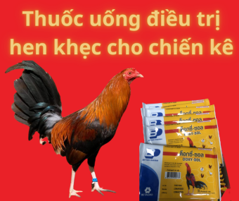 Thuốc úm gà, trị hen khẹc cho gà đá
