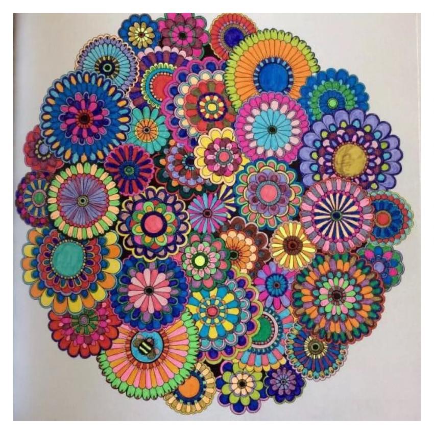 1pcs Secret Garden 2016 New An Inky Treasure Hunt AndColoring Book For Children