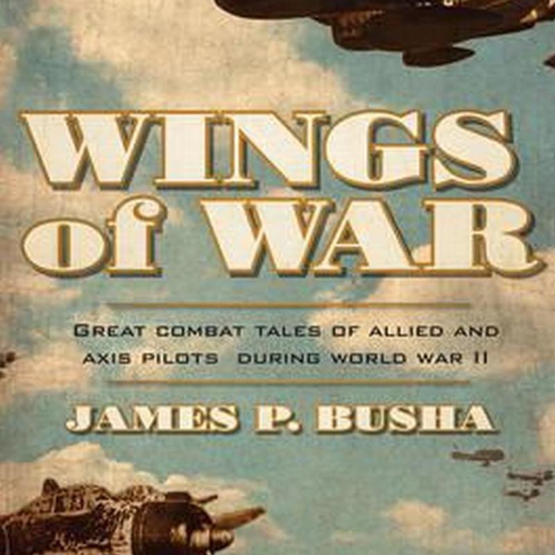 Wings of War (Author: James P. Busha, ISBN: 9780760348529)