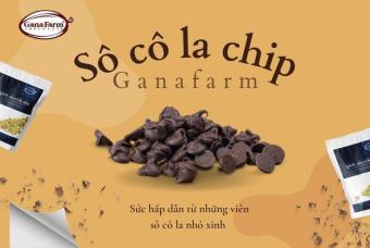Socola chip trắng // Socola chip đen 200g 350g