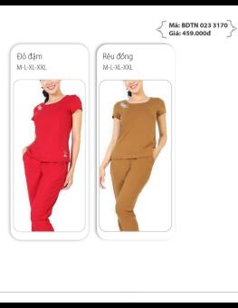 Bộ đồ cotton cao cấp PALTAL áo cộc tay quần dài - SET mặc nhà đẹp, thấm hút mồ hôi