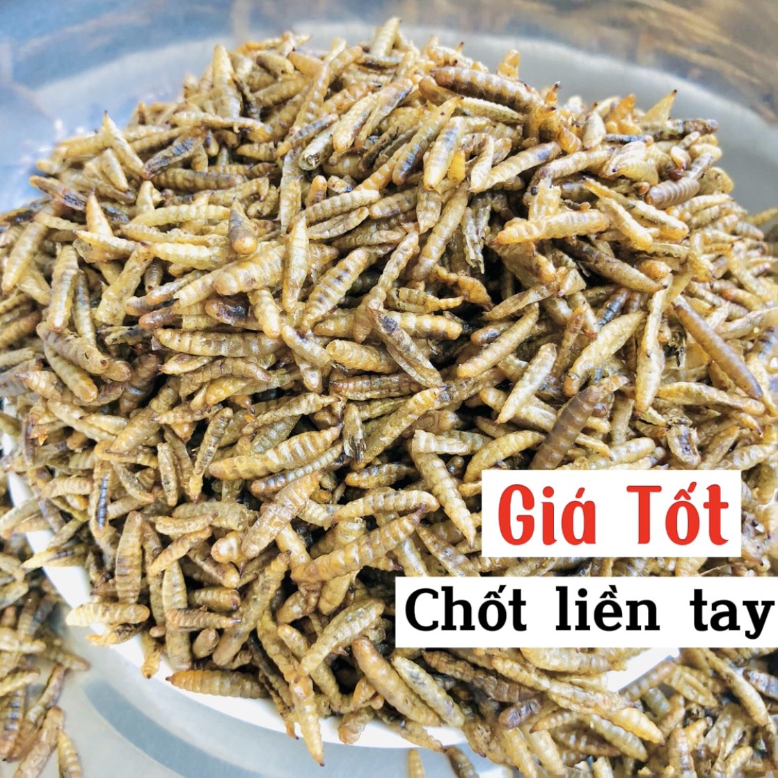 Sâu superworm sấy khô, 100gram sâu Canxi cho hamster, cá cảnh, sóc bông, nhím