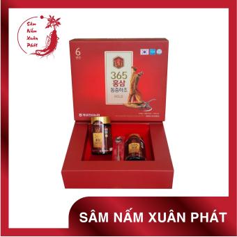 Cao hồng sâm đông trùng hạ thảo 365 Hàn Quốc Hộp 2 lọ x 250g