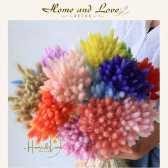 10 BÔNG CỎ ĐUÔI THỎ/ CỎ LAU MỸ Hoa khô Lagurus Bunny Tails - Decor, trang trí, phụ kiện chụp ảnh