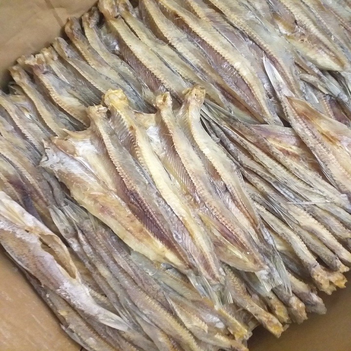 1kg khô cá mối bỏ đầu loại lạt không ướp