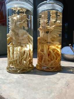 Rể đinh lăng điêu khắc bình 12L - HÌNH TÙY CHỌN