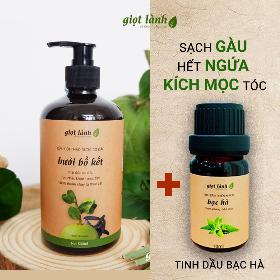 Dầu gội bồ kết thảo dược đun cô - Tinh dầu bạc hà nguyên chất giúp kích mọc tóc giảm rụng sạch gàu ngứa da đầu Giọt Lành
