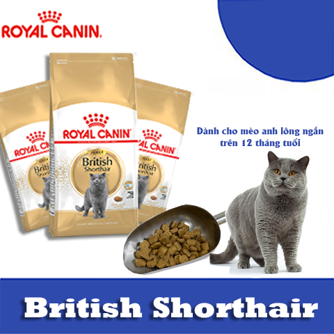 Thức ăn cho mèo trưởng thành, british shorthair adult 400g- 2 kg - .hạt cho mèo|hạt mèo 5kg|thức ăn cho mèo con|thức ăn hạt fitmin cho mèo|cat food|thức ăn khô cho mèo|thức ăn cho mèo mà rẻ| cám mèo| đồ ăn cho mèo