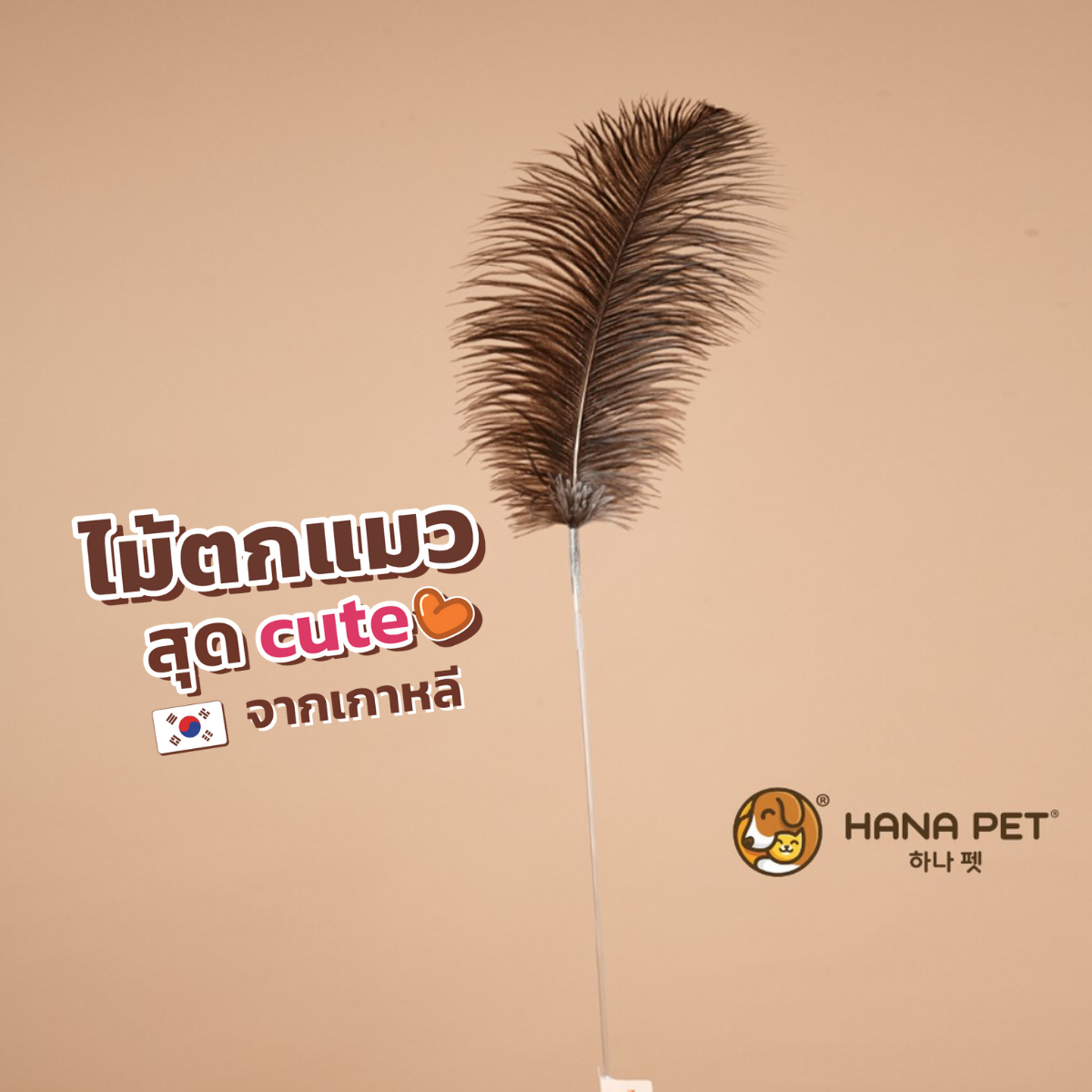 ของเล่นแมว Hana Pet ไม้ตกแมวรุ่น Mini Ostrich Feather ของเล่นน้องแมวไซส์เล็ก ทำจากขนนกกระจอกเทศแท้ๆ ไม้ล่อแมว เบ็ดตกแมว ของเล่นแมว ราคา 284 บาท*ส่งฟรี