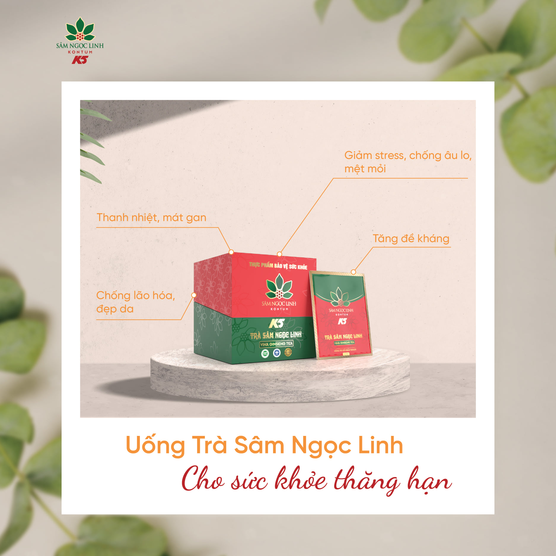 Trà sâm ngọc Linh Kon Tum K5