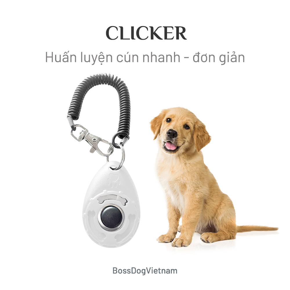 Clicker BENE huấn luyện cho chó nhanh hiệu quả - Phù hợp mọi dùng Poodle, Husky, Pom... | BH trọn đời 1 đổi 1 | BossDog