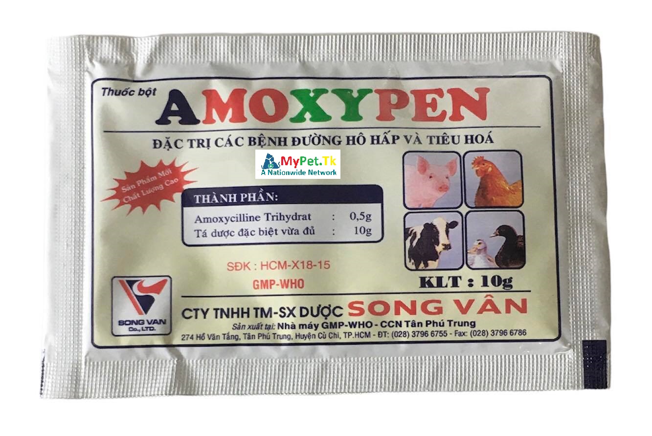 Amoxypen - Đặc Tr ị Đường Hô Hấp, Tiêu Hóa, Xù Lông, Sốt Bỏ Ăn, Chết Không Rõ Nguyên Nhân 10G