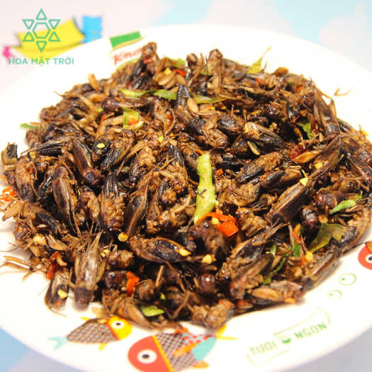 Dế Sấy Cay giòn BeeShop BS01, Dế sấy ăn liền, dế rang tỏi ớt, món ăn côn trùng