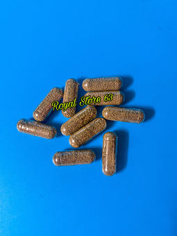 Viên Artermia nước ngọt dạng con nhộng thức ăn cho cá cảnh