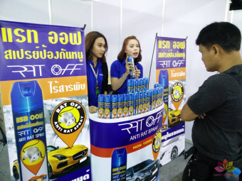 XỊT ĐUỔI CHUỘT THÁI LAN [ CHÍNH HÃNG ]