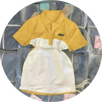 Áo Thun Nam Nữ Polo Cổ Bẻ Hàn Quốc In Hình Cá Sấu Dày Mịn Thoáng Mát Thiết Kế Thời Trang Kiểu Dáng Năng Động Trẻ Trung MR56