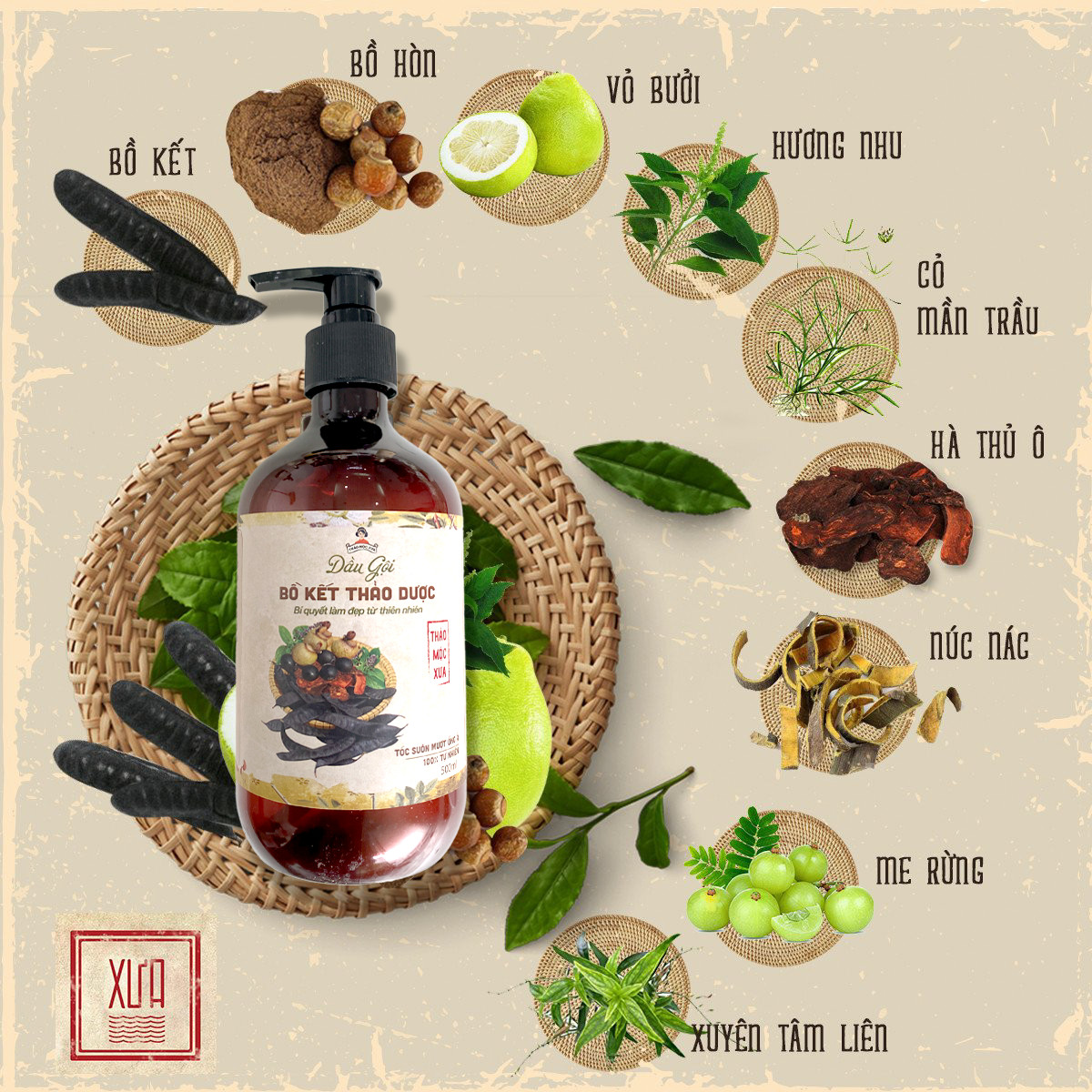 Dầu Gội Bồ Kết Thảo Mộc Xưa