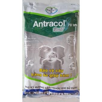 Thuốc trừ bệnh Antracol 70WP 1Kg  Áo giáp kẽm bảo vệ cây trồng- VTNN Năm Bưu