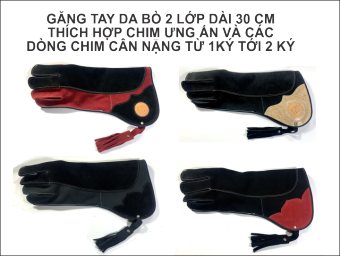 Găng tay da bò nuôi chim đại bàng