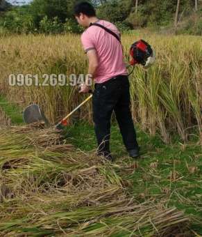 Máy gặt lúa cầm tay động cơ 4 thì GX35 từ máy cắt cỏ