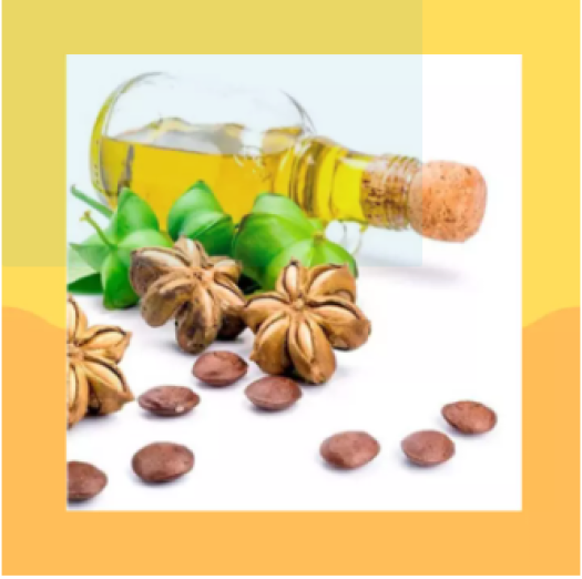 Dầu dừa Ghee Viethealthy 1 lít