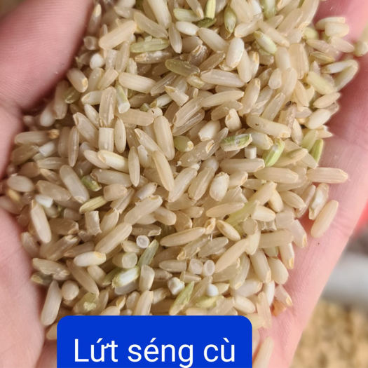 Gạo Lứt Séng Cù Của Bát Xát Lào Cai, Gạo Ngon Thơm, Đậm Đà Giầu Dinh Dưỡng Túi 2kg [KVAFA FOOD]