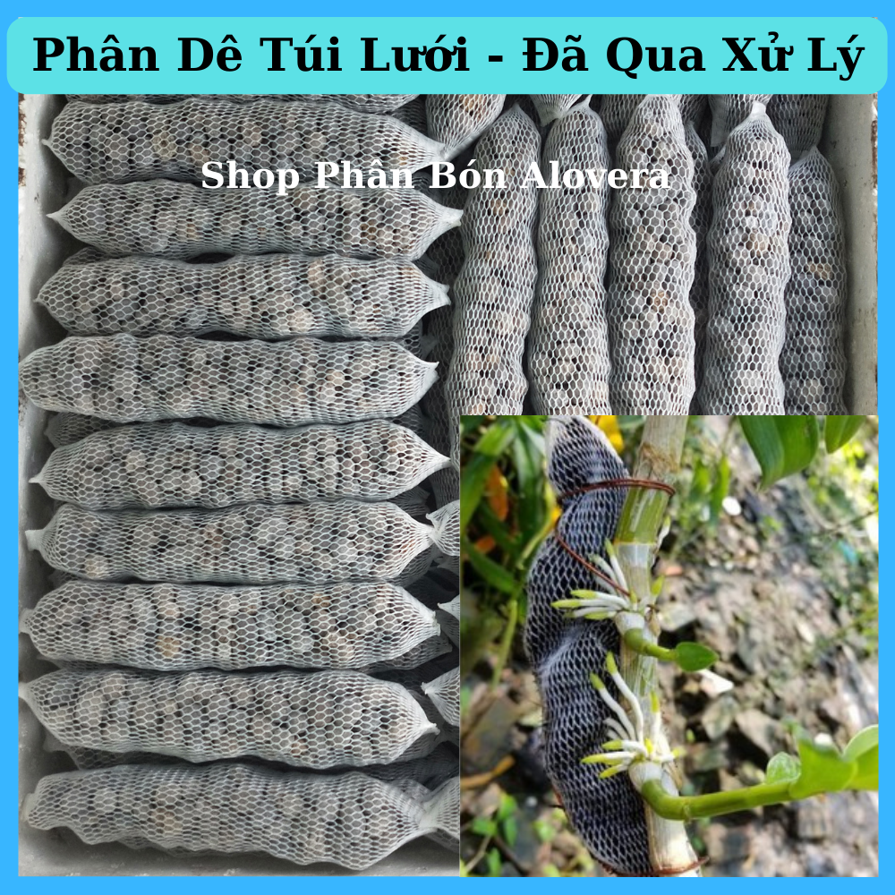 Phân dê túi lưới đã qua xử lý bón lan cây cảnh