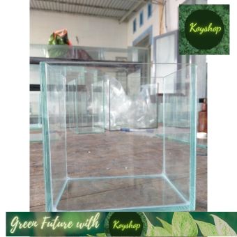 Hồ cá mini Betta & Guppy 15*10*15 kính 4 li