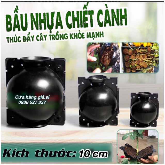 10 Bầu nhựa PP cao cấp size 10 x 12cm bầu chiết cành chuyên hỗ trợ chiết cành cực tốt tái sử dụng trong 4 năm giá rẻ