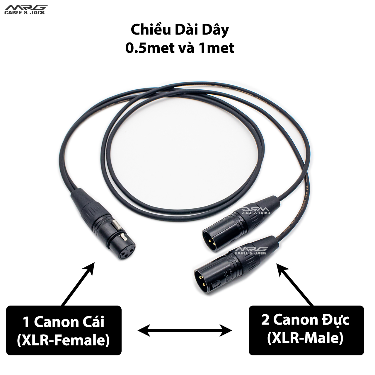 Dây canon cái ra 2 đầu canon đực