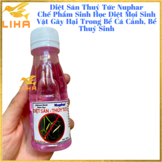 Diệt Sán Thuỷ Tức Nuphar - Chế Phẩm Sinh Học Diệt Mọi Sinh Vật Gây Hại Trong Bể Cá Cảnh, Bể Thuỷ Sinh