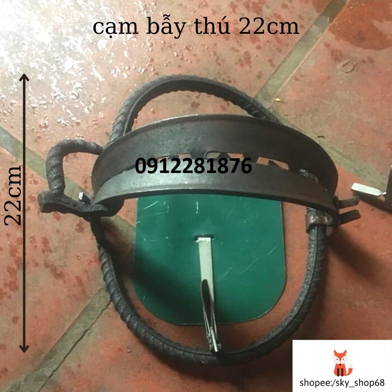 Cạm bẫy thú lớn 22cm thép xoắn tặng kèm bàn đạp và dây