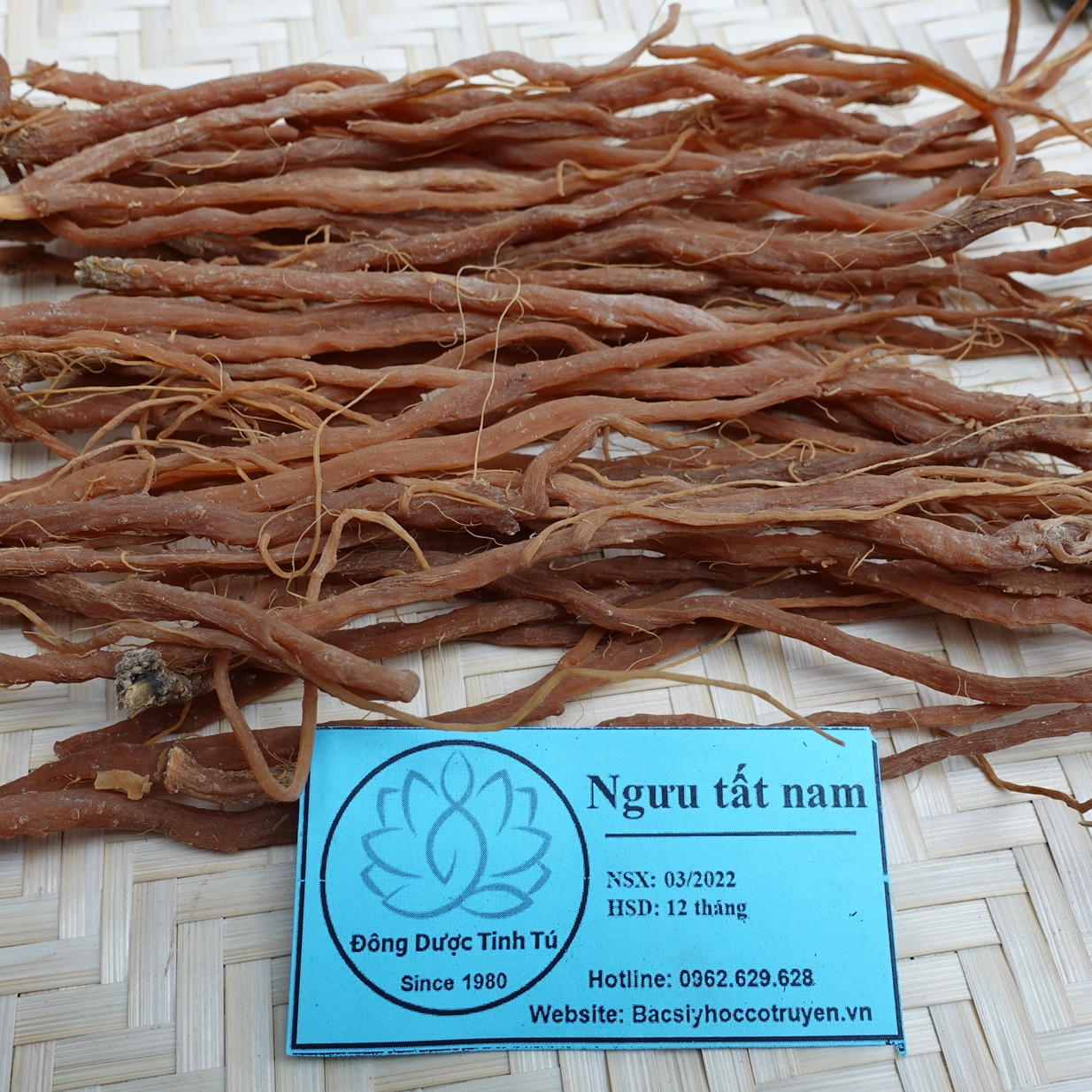 Ngưu tất nam 100g, dược liệu loại 1, khô, sạch
