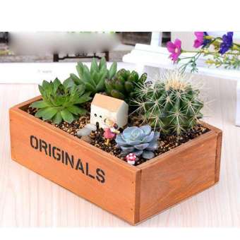 Chậu trồng cây cảnh: Mẫu chậu gỗ Original