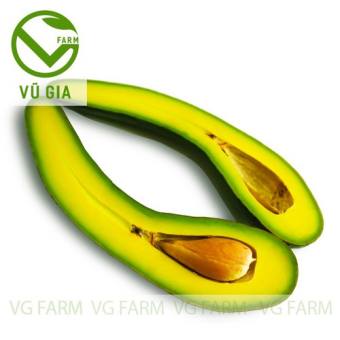 Bơ 034 Bảo Lộc Lâm Đồng ( 2-3 trái/ kg ) - Bơ hái trực tiếp tại vườn không lo hoá chất - Cơm vàng, sáp dẻo bao ăn