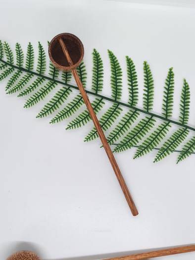 Gáo dừa múc nước kombucha, nước kefir