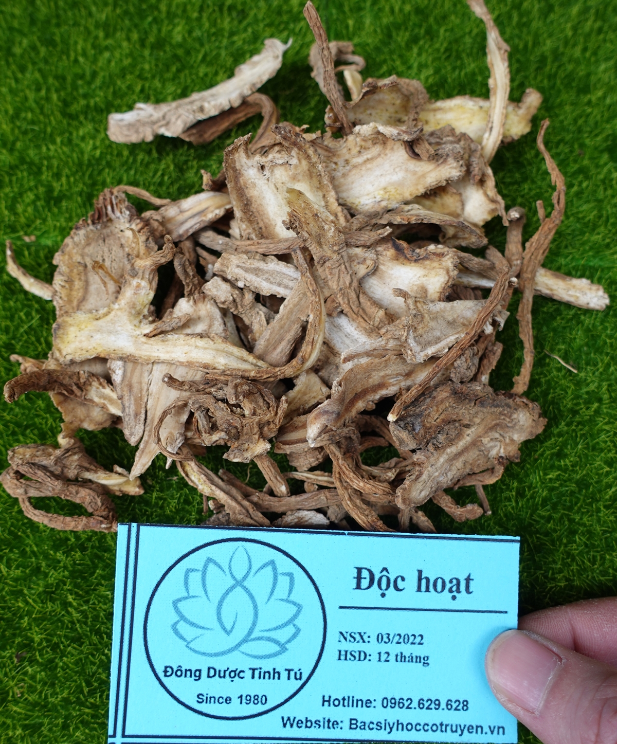 Độc hoạt 100g, dược liệu loại 1, khô, sạch