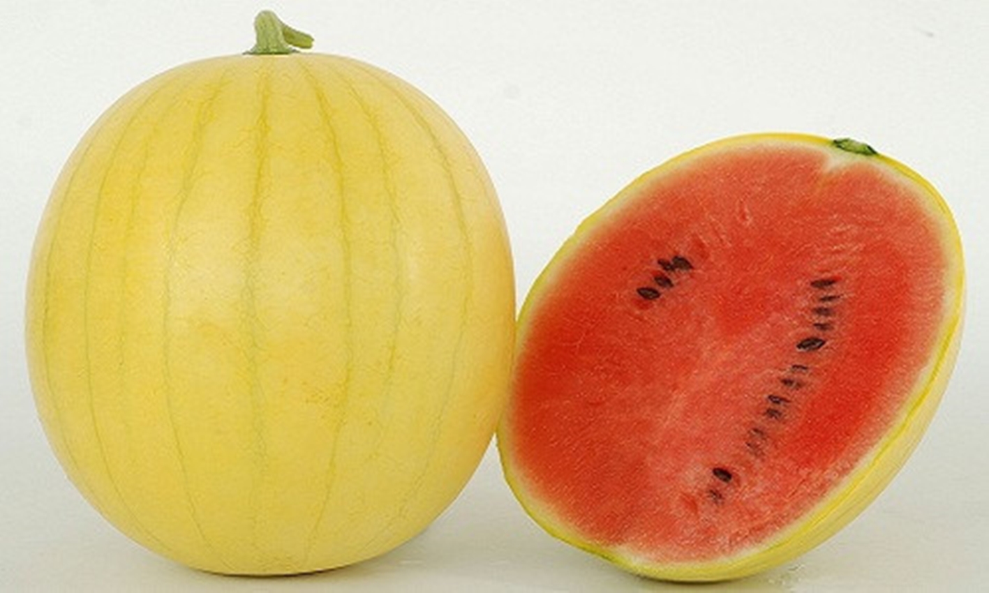 HẠT GIỐNG DƯA HẤU VỎ VÀNG RUỘT ĐỎ F1 TẶNG KÈM KÍCH MẦM